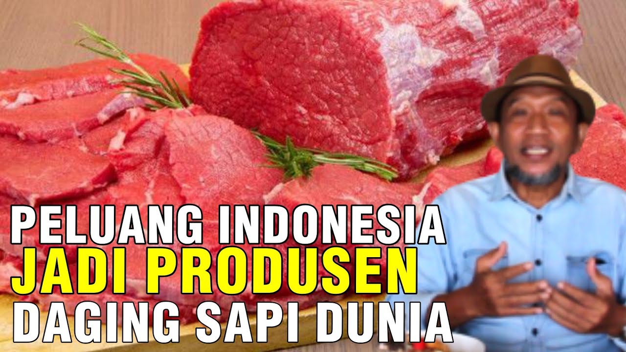 
                                 Peluang-Indonesia-Jadi-Produsen-Setelah-Sapi-Australia-Hilang-Di-Pasaran